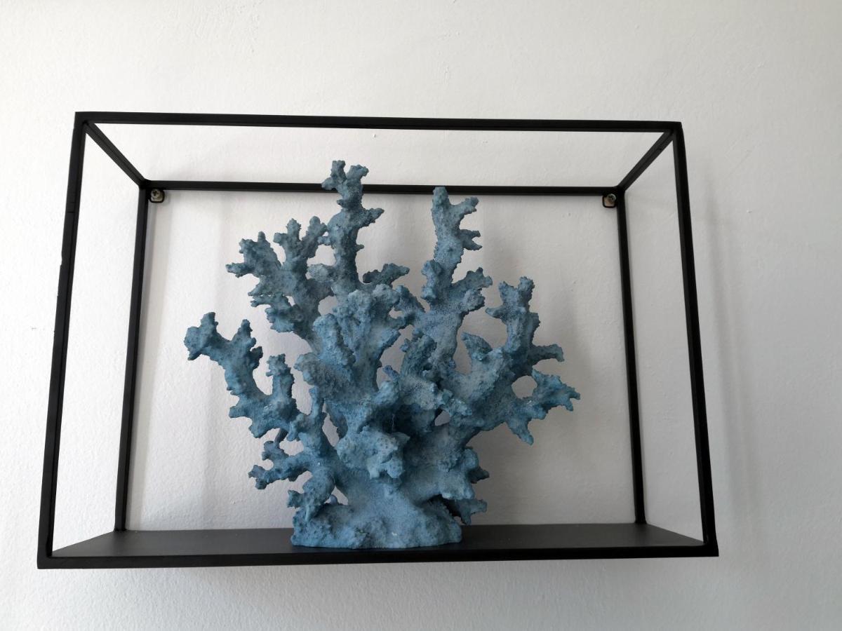 Grand 2 Pieces Renove Climatise, Vieil Antibes, Proche Portアパートメント エクステリア 写真